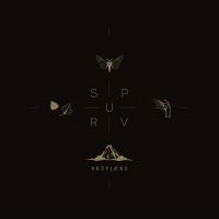 SPURV - BREFJÆRE (VINYL LP) i gruppen VINYL / Pop-Rock hos Bengans Skivbutik AB (4312995)