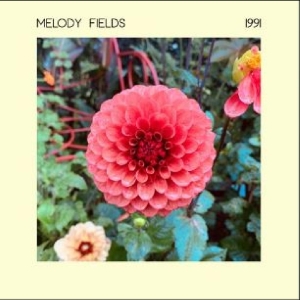 MELODY FIELDS - 1991 i gruppen VINYL / Pop-Rock,Svensk Musikkk hos Bengans Skivbutik AB (4313064)