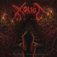 Xorsist - At The Somber Steps Of Serenity i gruppen CD / Metal hos Bengans Skivbutik AB (4313522)