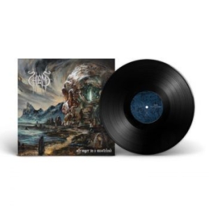 Hiems - Stranger In A Wasteland (Vinyl Lp) i gruppen VINYL / Metal/ Heavy metal hos Bengans Skivbutik AB (4314247)