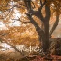 Waldgeflüster - Unter Bronzenen Kronen (Digipack) i gruppen CD / Metal hos Bengans Skivbutik AB (4314255)