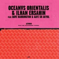 Ersahin Ilhan - 1980 i gruppen VI TIPSER / Fredagsutgivelser / Fredag Den 9:e Februari 2024 hos Bengans Skivbutik AB (4314734)