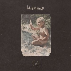 Wunderhorse - Cub i gruppen CD / Rock hos Bengans Skivbutik AB (4349622)