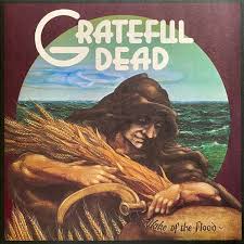 Grateful Dead - Wake Of The Flood (50Th Anniversary Clea i gruppen -Start Vinyl-N hos Bengans Skivbutik AB (4413201)