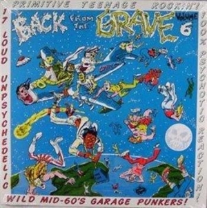 Various Artists - Vol.6 - Back From The Grave i gruppen VINYL / Rock hos Bengans Skivbutik AB (481278)