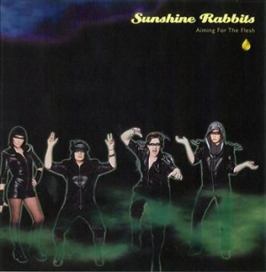 Sunshine Rabbits - Aiming For The Flesh i gruppen VI TIPSER / Julegavetips Vinyl hos Bengans Skivbutik AB (481633)