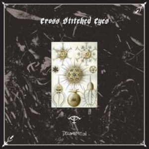 Cross Stitched Eyes - Decomposition i gruppen VINYL / Metal/ Heavy metal hos Bengans Skivbutik AB (481647)