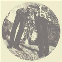 Segall Ty & White Fence - Hair i gruppen VINYL / Pop-Rock hos Bengans Skivbutik AB (482129)