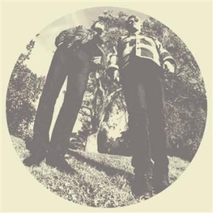 Segall Ty And White Fence - Hair i gruppen Rock hos Bengans Skivbutik AB (483428)