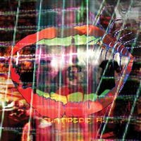 Animal Collective - Centipede Hz i gruppen VINYL / Pop-Rock hos Bengans Skivbutik AB (484056)