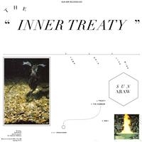 Sun Araw - The Inner Treaty i gruppen VINYL hos Bengans Skivbutik AB (484717)