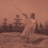 Unknown Mortal Orchestra - Ii i gruppen VINYL / Pop-Rock hos Bengans Skivbutik AB (486740)