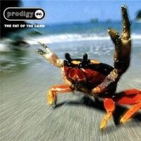 The Prodigy - Fat Of The Land (Reissue) i gruppen VI TIPSER / Bengans Personal tipser / Erikas gameday hos Bengans Skivbutik AB (486860)