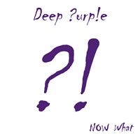 DEEP PURPLE - NOW WHAT?! i gruppen VINYL / Metal hos Bengans Skivbutik AB (487031)