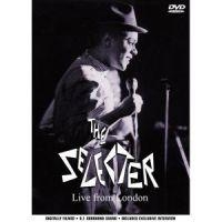 Selecter - Live From London i gruppen Musikk / DVD Audio / Reggae hos Bengans Skivbutik AB (490145)