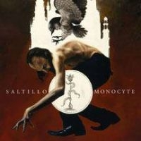 Saltillo - Monocyte: The Lapis Coil i gruppen VINYL hos Bengans Skivbutik AB (493128)