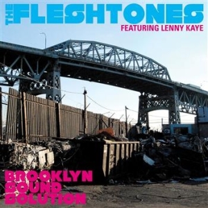 Fleshtones - Brooklyn Sound Solution i gruppen VI TIPSER / Klassiska lablar / YepRoc / Vinyl hos Bengans Skivbutik AB (493751)