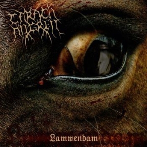 Carach Angren - Lammendam (2 Vinyl Lp) i gruppen VINYL / Metal/ Heavy metal hos Bengans Skivbutik AB (494016)