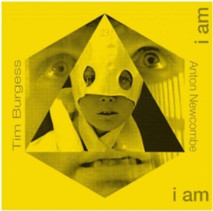 Burgess Tim (Remixed By Anton Newco - Doors Of Then - I Am Yours I Am You i gruppen VINYL / Pop-Rock hos Bengans Skivbutik AB (494174)