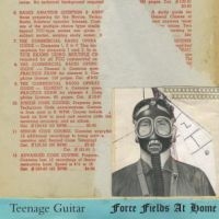 Teenage Guitar - Force Fields At Home i gruppen VI TIPSER / Julegavetips Vinyl hos Bengans Skivbutik AB (496477)