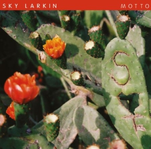 Sky Larkin - Motto i gruppen VINYL / Rock hos Bengans Skivbutik AB (499710)