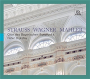 Strauss / Wagner / Mahler - A Capella i gruppen VI TIPSER / Julegavetips CD hos Bengans Skivbutik AB (501081)