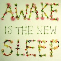 Lee Ben - Awake Is The New Sleep i gruppen CD hos Bengans Skivbutik AB (502384)