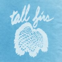 Tall Firs - Out Of It And Into It i gruppen CD / Pop-Rock hos Bengans Skivbutik AB (502442)