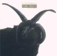 The Cult - The Cult i gruppen CD / Pop-Rock hos Bengans Skivbutik AB (503121)