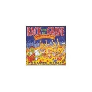 Various Artists - Back From The Grave Part 8 i gruppen CD / Rock hos Bengans Skivbutik AB (503266)