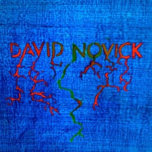 Novick David - David Novick i gruppen VINYL / Pop-Rock hos Bengans Skivbutik AB (505547)