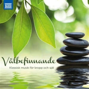 Various - Välbefinnande - Klassisk Musik För i gruppen cdonuppdat / CDON Jazz Klassisk NX hos Bengans Skivbutik AB (505578)