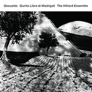 Carlo Gesualdo The Hilliard Ensembl - Quinto Libro Di Madrigali i gruppen Externt_Lager / Naxoslager hos Bengans Skivbutik AB (506815)