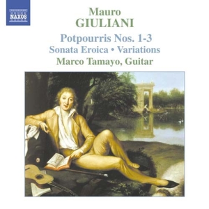 Giuliani Mauro - Guitar Music Vol 2 i gruppen VI TIPSER / Julegavetips CD hos Bengans Skivbutik AB (510658)