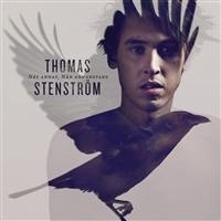 Thomas Stenström - Nåt Annat, Nån Annanstans i gruppen CD / Pop-Rock,Svensk Musikkk hos Bengans Skivbutik AB (510759)