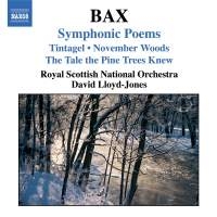 Bax Arnold - Symphonic Poems i gruppen VI TIPSER / Julegavetips CD hos Bengans Skivbutik AB (510951)