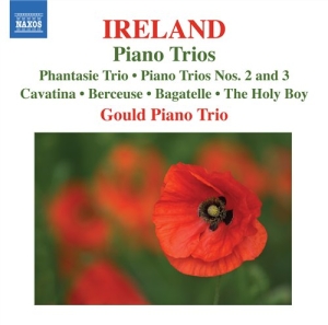 Ireland - Piano Trios i gruppen VI TIPSER / Julegavetips CD hos Bengans Skivbutik AB (512596)