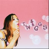 Twiggs - Twiggs i gruppen CD / Pop-Rock,Svensk FolkeMusikkk hos Bengans Skivbutik AB (513175)