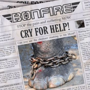 Bonfire - Cry For Help i gruppen CD / Metal/ Heavy metal hos Bengans Skivbutik AB (518383)