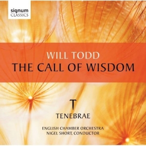 Todd - The Call Of Wisdom i gruppen VI TIPSER / Julegavetips CD hos Bengans Skivbutik AB (519792)