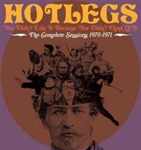 Hotlegs - You Didn't Like It Because You Didn i gruppen CD / Pop-Rock hos Bengans Skivbutik AB (531254)