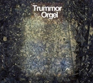 Trummor & Orgel - Visions i gruppen CD / Pop-Rock hos Bengans Skivbutik AB (539183)