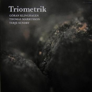 Triometrik - Triometrik i gruppen CD / Jazz hos Bengans Skivbutik AB (542248)