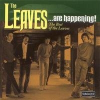 Leaves The - The Leaves...Are Happening! The Bes i gruppen VI TIPSER / Klassiska lablar / Sundazed / Sundazed CD hos Bengans Skivbutik AB (543166)