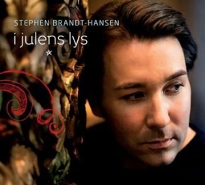 Brandt-Hansen Stephen - I Julens Lys i gruppen CD / Annet hos Bengans Skivbutik AB (543207)