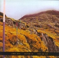 SECTION 25 - FROM THE HIP i gruppen CD / Pop-Rock hos Bengans Skivbutik AB (543381)