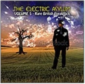 Various Artists - The Electric Asylum Vol 5 i gruppen CD / Rock hos Bengans Skivbutik AB (545422)