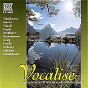 Various - Vocalise i gruppen VI TIPSER / Julegavetips CD hos Bengans Skivbutik AB (548047)