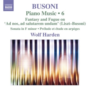 Busoni - Piano Music Vol 6 i gruppen VI TIPSER / Julegavetips CD hos Bengans Skivbutik AB (549039)