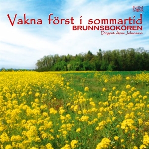 Brunnsbokören - Vakna Först I Sommartid i gruppen CD / Elektroniskt,Svensk FolkeMusikkk hos Bengans Skivbutik AB (549233)